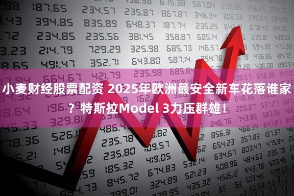 小麦财经股票配资 2025年欧洲最安全新车花落谁家？特斯拉Model 3力压群雄！