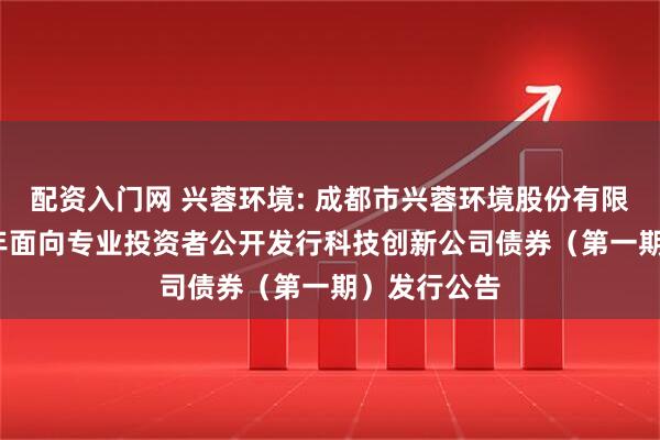 配资入门网 兴蓉环境: 成都市兴蓉环境股份有限公司2025年面向专业投资者公开发行科技创新公司债券（第一期）发行公告